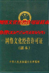 網(wǎng)絡(luò)文化經(jīng)營與Opencv新兵 從許可證到技術(shù)成長(zhǎng)的數(shù)字文化新生態(tài)